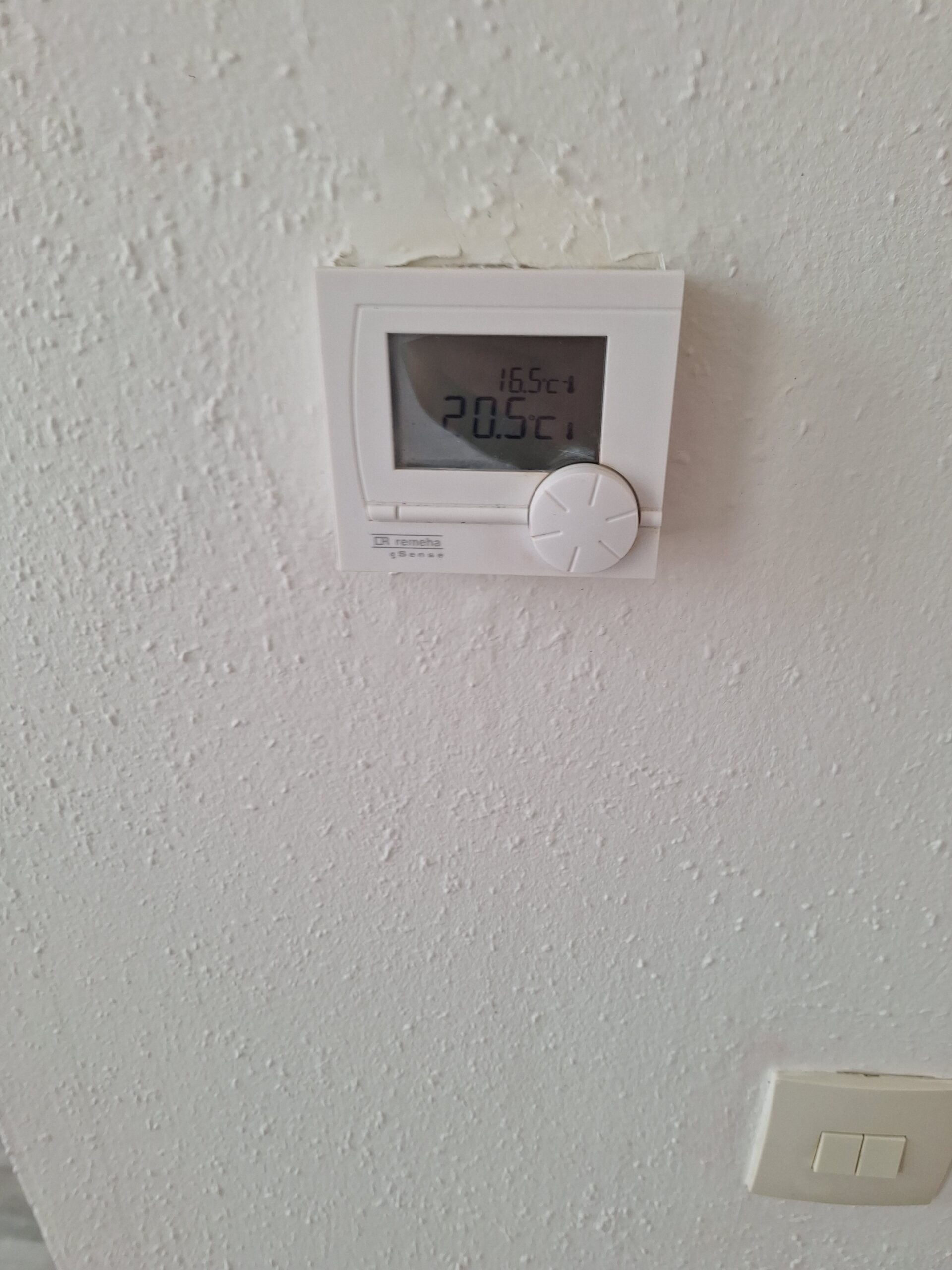 20250604_132926 20250604_132926